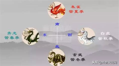 左青龍右白虎風水|青龍、白虎、朱雀、玄武...神獸4方位簡易居家風水檢。